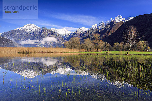 Das Naturschutzgebiet von Pian di Spagna mit schneebedeckten Gipfeln  die sich im Wasser spiegeln  Valtellina  Lombardei  Italien  Europa