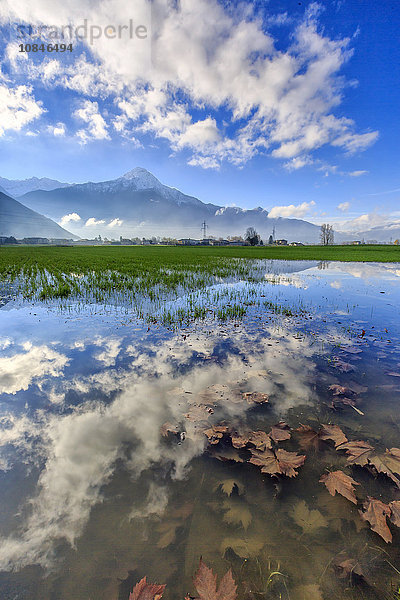 Das Naturschutzgebiet von Pian di Spagna mit dem sich im Wasser spiegelnden Berg Legnone  Valtellina  Lombardei  Italien  Europa