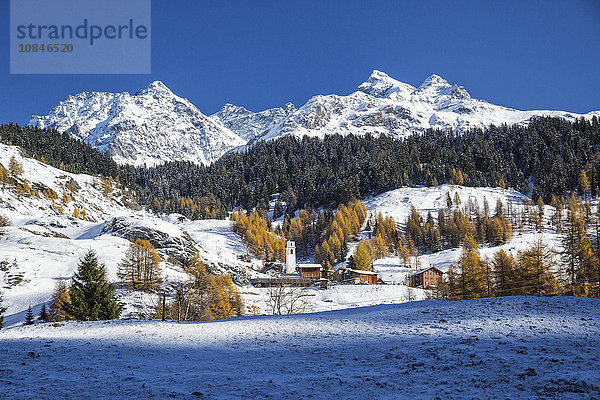 Verschneite Landschaft und bunte Bäume in dem kleinen Dorf Sur  Val Sursette  Kanton Graubünden  Schweiz  Europa