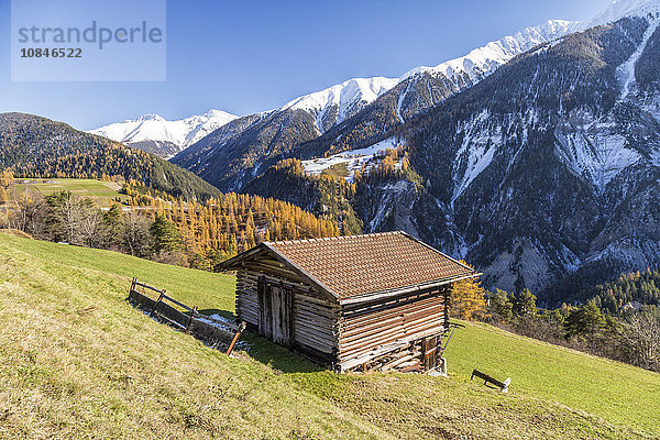 Holzhütte umgeben von bunten Wäldern und verschneiten Gipfeln  Schmitten  Bezirk Albula  Kanton Graubünden  Schweiz  Europa