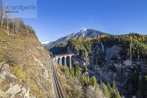 Bernina Express fährt über den Landwasser Viadukt  umgeben von bunten Wäldern  Kanton Graubünden  Schweiz  Europa
