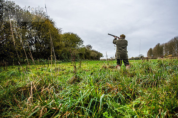 Gewehrschießen auf Vogel auf getriebener Fasanenjagd  Wiltshire  England  Vereinigtes Königreich  Europa