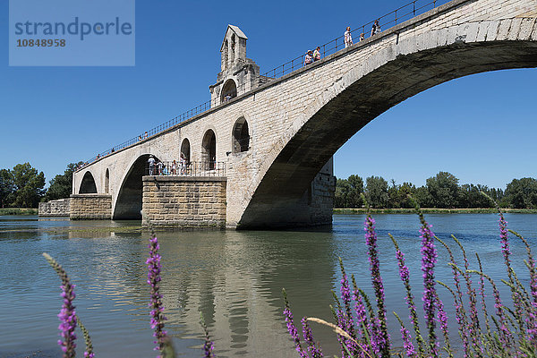Pont St. Benezet  Brücke über den Fluss Rhone in der historischen Stadt Avignon  UNESCO-Weltkulturerbe  Vaucluse  Provence  Frankreich  Europa