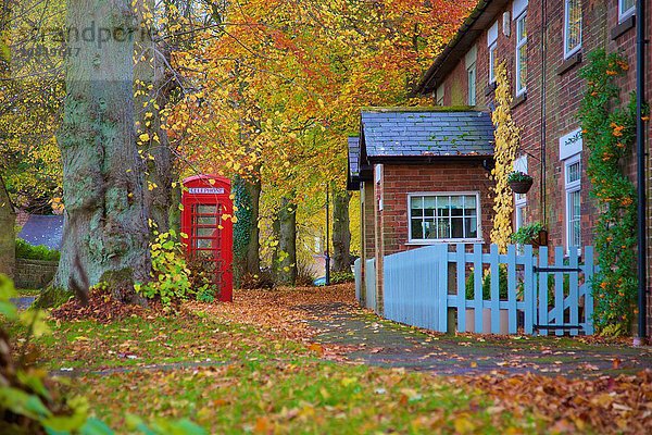Rote Telefonzelle im Herbst  Dorf Teversal  Nottinghamshire  England  Vereinigtes Königreich  Europa