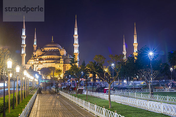 Blaue Moschee (Sultan-Ahmed-Moschee)  UNESCO-Weltkulturerbe  im Sultanahmet Square Park und Gärten bei Nacht  Istanbul  Türkei  Europa