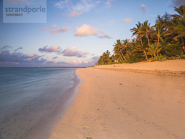 Tropischer Strand mit Palmen bei Sonnenaufgang  Rarotonga  Cookinseln  Südpazifik  Pazifik