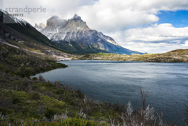 Scottsburg-See mit Cordillera Paine (Paine-Massiv) im Hintergrund  Nationalpark Torres del Paine  Patagonien  Chile  Südamerika