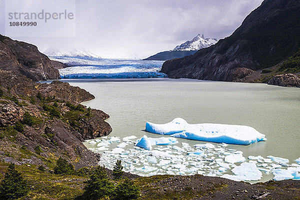 Eisberge im Grey-See (Lago Grey) mit Grey-Gletscher (Glaciar Grey) dahinter  Torres del Paine Nationalpark  Patagonien  Chile  Südamerika