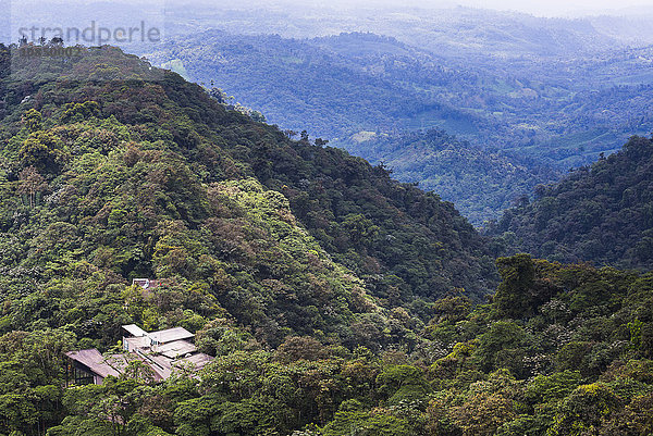 Mashpi Lodge  Choco Cloud Forest  ein Regenwald in der Provinz Pichincha in Ecuador  Südamerika