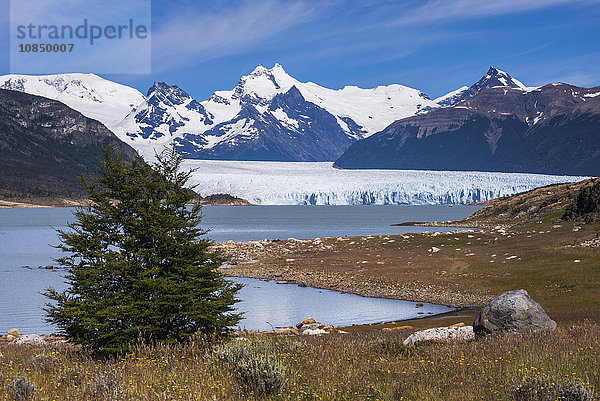 Perito Moreno Glaciar  Los Glaciares National Park  UNESCO Weltkulturerbe  in der Nähe von El Calafate  Patagonien  Argentinien  Südamerika