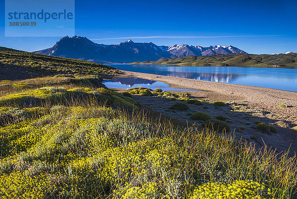 Perito-Moreno-Nationalpark (Parque Nacional Perito Moreno)  Provinz Santa Cruz  argentinisches Patagonien  Argentinien  Südamerika