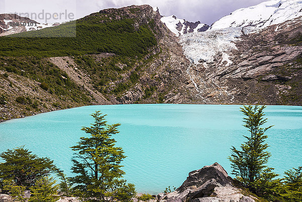 Huemul-See (Lago Huemul) und Huemul-Gletscher (Glaciar Huemul)  El Chalten  Patagonien  Argentinien  Südamerika