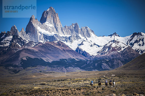 Gauchos reiten auf Pferden und hüten Schafe mit dem Berg Fitz Roy im Hintergrund  UNESCO-Weltkulturerbe  El Chalten  Patagonien  Argentinien  Südamerika