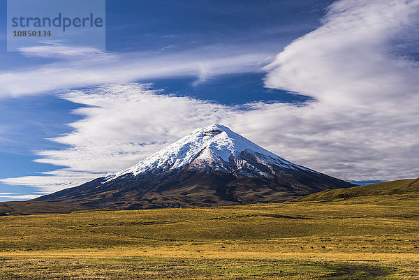 Gipfel des Vulkans Cotopaxi 5897m  Nationalpark Cotopaxi  Provinz Cotopaxi  Ecuador  Südamerika