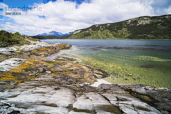 Nationalpark Tierra Del Fuego  Ushuaia  Patagonien  Argentinien  Südamerika