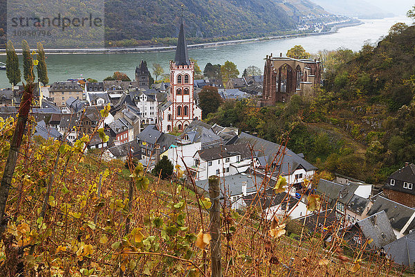 Überblick über Bacharach und den Rhein im Herbst  Rheinland-Pfalz  Deutschland  Europa