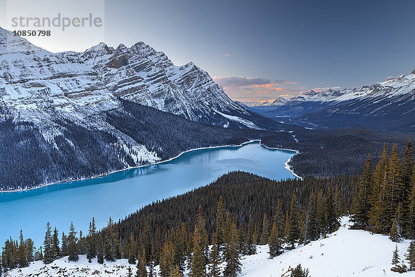 Peyto Lake bei Sonnenuntergang  Banff National Park  UNESCO-Weltkulturerbe  Rocky Mountains  Alberta  Kanada  Nordamerika