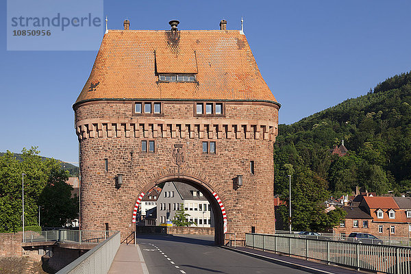 Brückentor auf einer Brücke über den Main  Miltenberg  Franken  Bayern  Deutschland  Europa