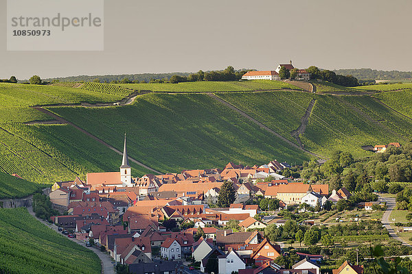 Weindorf Escherndorf und Burg Vogelsburg  Volkacher Mainschleife  Main  Mainfranken  Unterfranken  Bayern  Deutschland  Europa