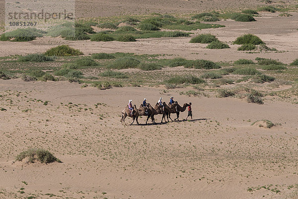 Touristen auf einem Trampeltierzug durchqueren eine sandige Landschaft  Blick von oben im Sommer  Khongoryn Els Sanddünen  Wüste Gobi  Mongolei  Zentralasien  Asien