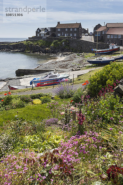 Hafen mit Booten und Dorfzentrum  Garten und Blumen  blauer Himmel an einem sonnigen Sommertag  Craster  Northumberland  England  Vereinigtes Königreich  Europa