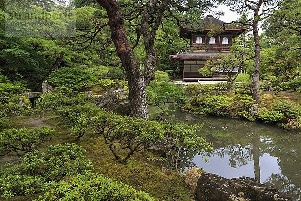 Ginkaku-ji (Silberner Pavillon)  klassischer japanischer Tempel und Garten  Haupthalle  Teich und belaubte Bäume im Sommer  Kyoto  Japan  Asien
