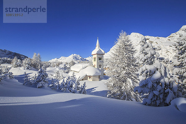 Die Wintersonne beleuchtet die verschneite Landschaft und die typische Kirche  Maloja  Engadin  Kanton Graubünden (Graisons)  Schweiz  Europa