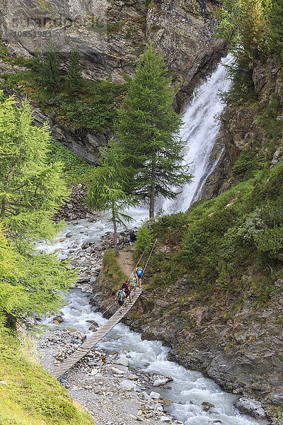 Wanderer überqueren die Holzbrücke über einen Bach im Wald  Molltal  Hochveltlin  Livigno  Lombardei  Italien  Europa