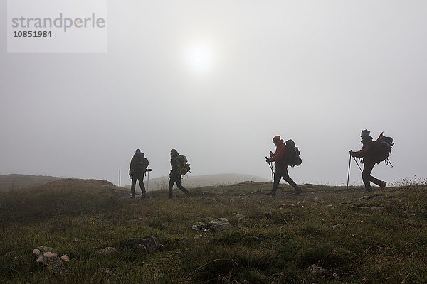Wanderer in der nebligen Landschaft in der Morgendämmerung  Minor-Tal  Hoch-Valtellina  Livigno  Lombardei  Italien  Europa