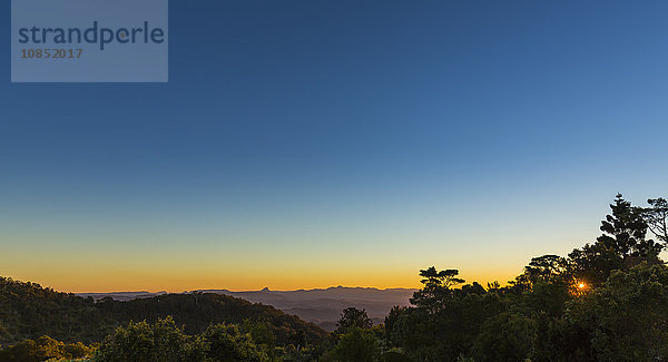 Schöne Farben bei Sonnenuntergang im Lamington National Park  Queensland  Australien  Pazifik