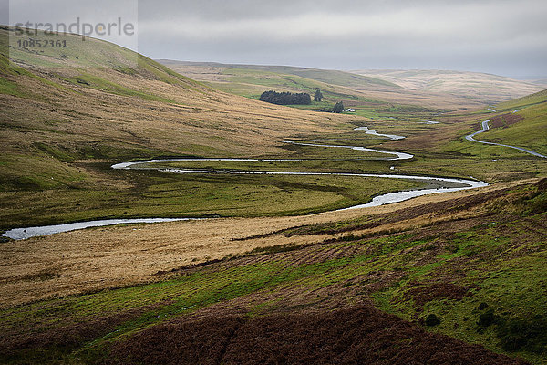 Landschaft  Rhayader  Mid Wales  Vereinigtes Königreich  Europa