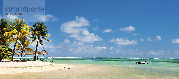 Türkisfarbenes Meer und weißer  palmengesäumter Strand  Le Morne  Black River  Mauritius  Indischer Ozean  Afrika