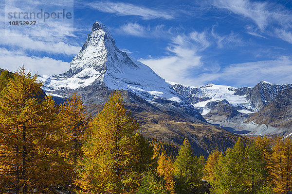 Matterhorn und Lärchenwald im Herbst  Wallis  Schweizer Alpen  Schweiz  Europa
