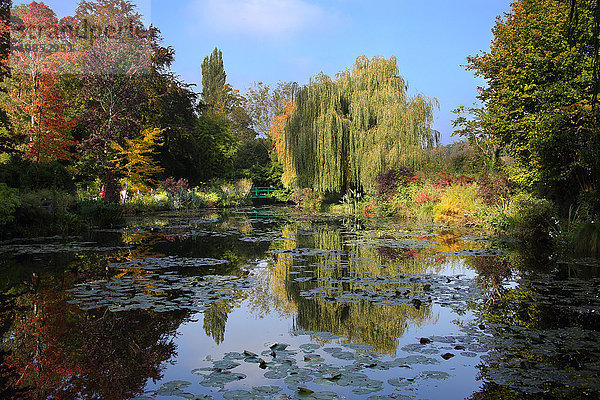Der Wassergarten von Claude Monet im Oktober  Giverny  Normandie  Frankreich  Europa