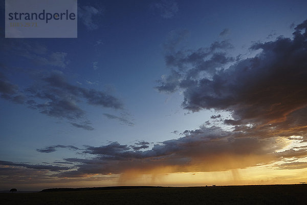 Regen und Sonnenuntergang auf der Maasai Mara-Ebene  Kenia  Ostafrika  Afrika