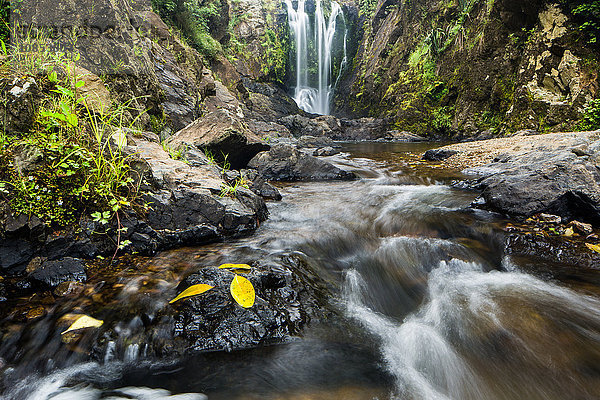 Piroa Falls  Waipu  Northland  Nordinsel  Neuseeland  Pazifik