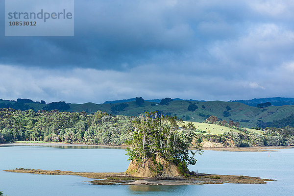 Flussmündung bei Snells Beach  Region Auckland  Nordinsel  Neuseeland  Pazifik