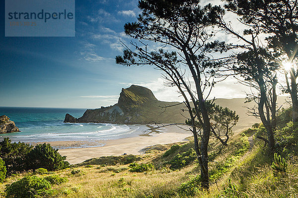 Deliverance Cove  Castlepoint  Region Wellington  Nordinsel  Neuseeland  Pazifik