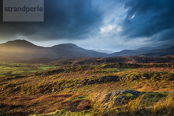 Croesor Valley  Gwynedd  Wales  Vereinigtes Königreich  Europa