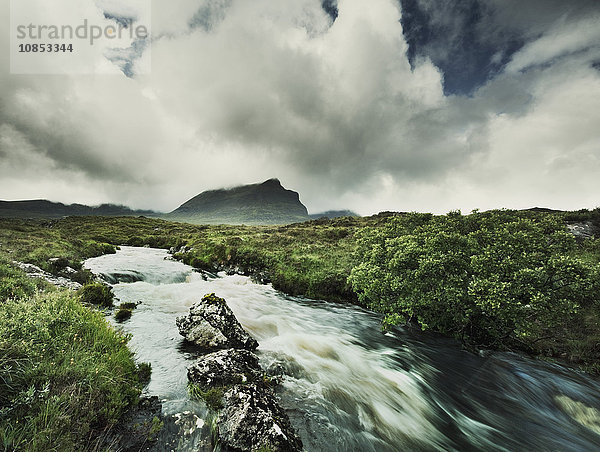 Highland Stream  Schottland  Vereinigtes Königreich  Europa