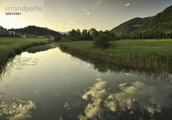 Wiesenbach  Allgäu  Bayern  Deutschland