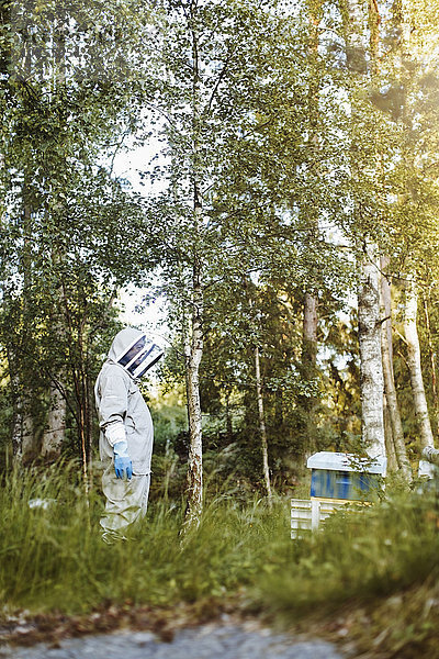 Beekeeper standing in front of beehives at field