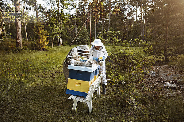 Beekeepers working on grassy field