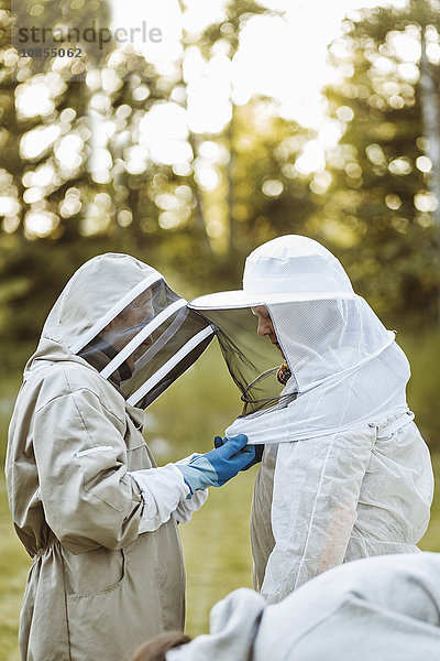 Senior beekeeper assisting colleague in wearing headwear at field