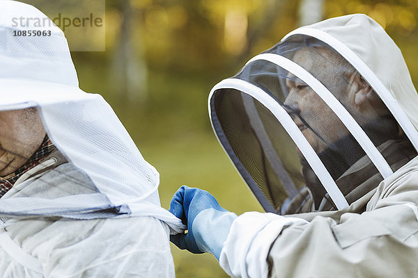 Beekeeper assisting colleague in wearing headwear at field