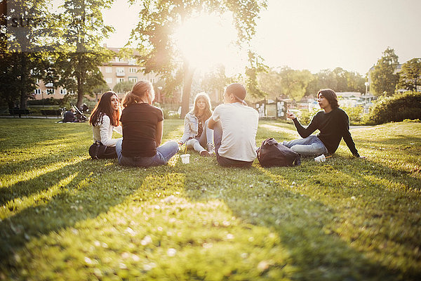 Teenagers spending leisure time at park