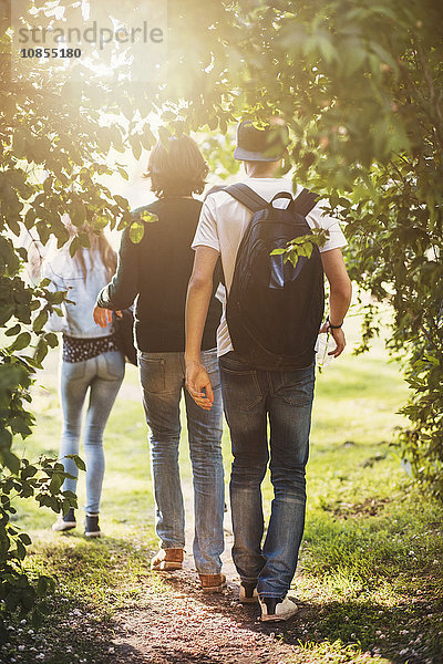 Rear view of teenagers walking at park