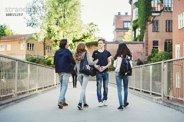 Male teenager walking with friends on bridge