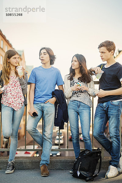 Teenagers spending leisure time on bridge