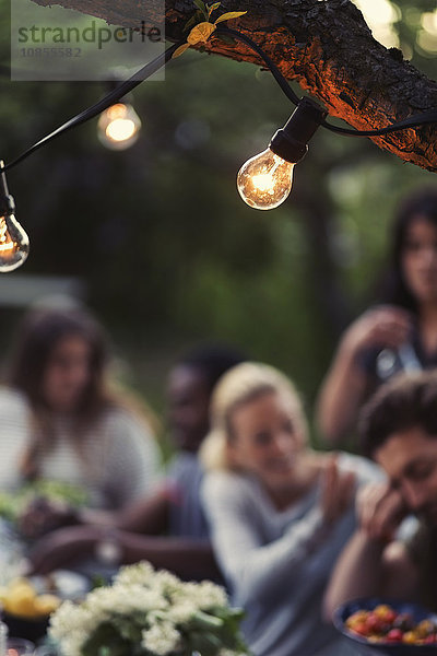 Light bulbs on branch with friends enjoying dinner party at yard